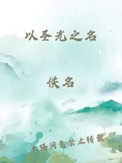 以圣光之名